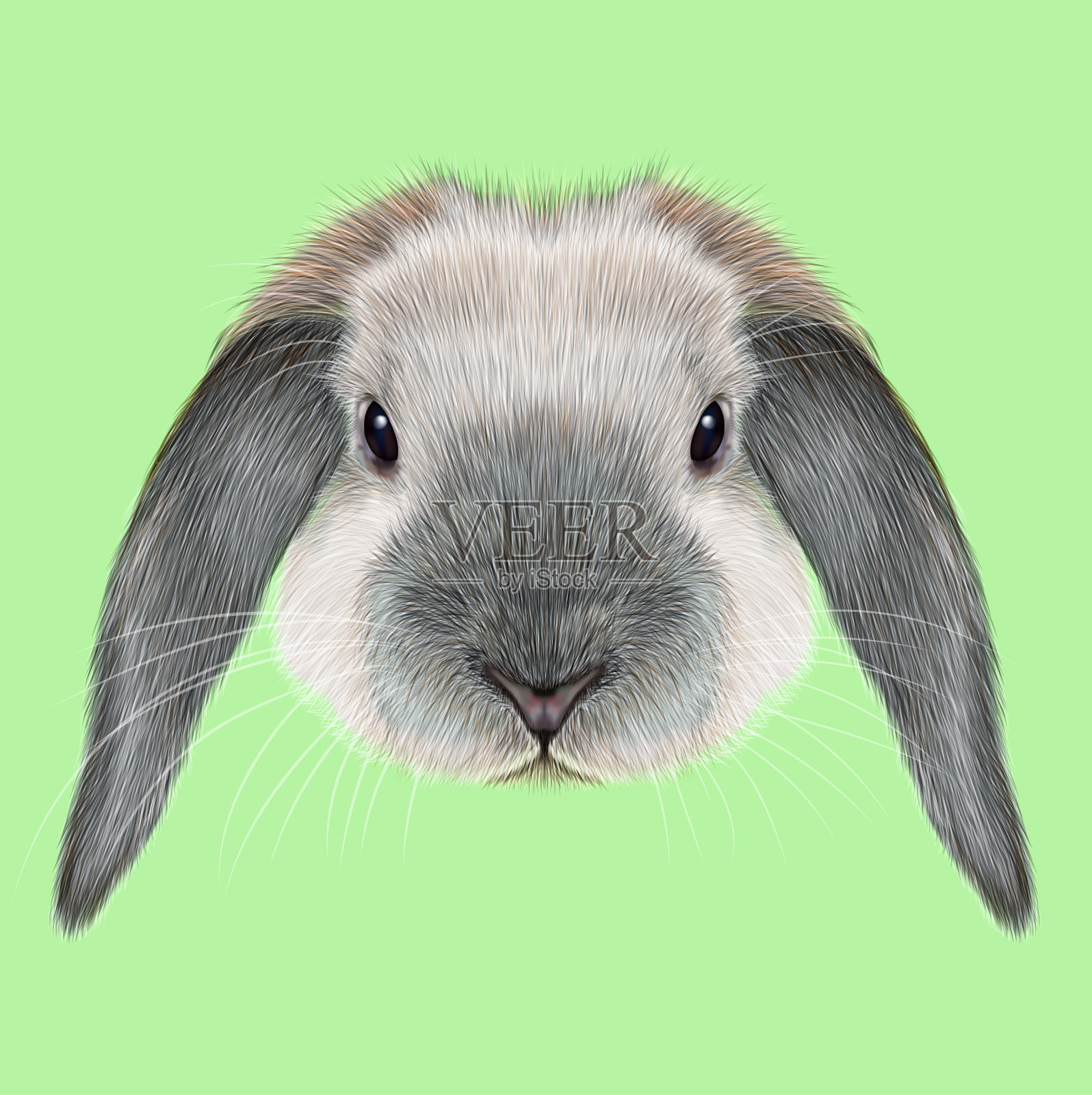 兔动物肖像设计元素图片