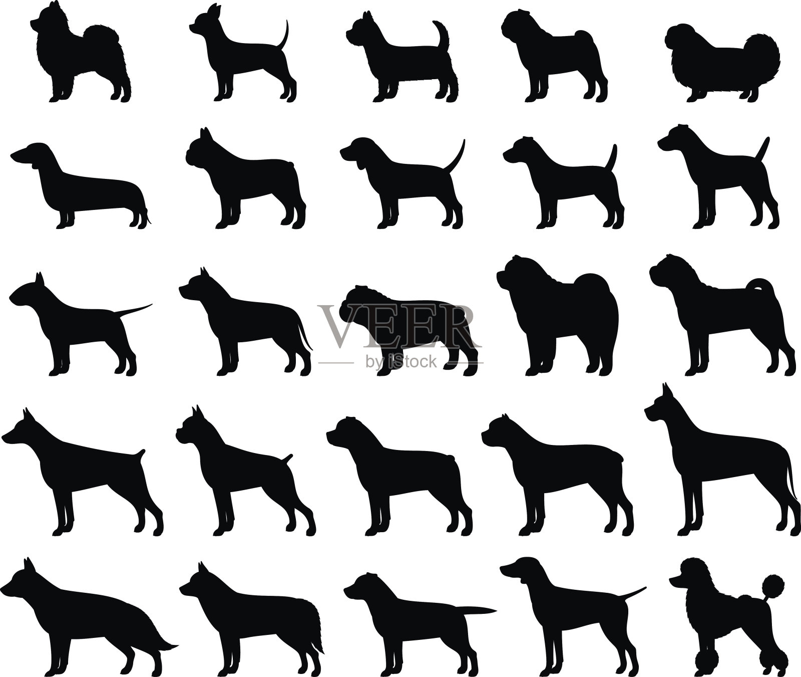 矢量犬品种的轮廓收集孤立的白色插画图片素材