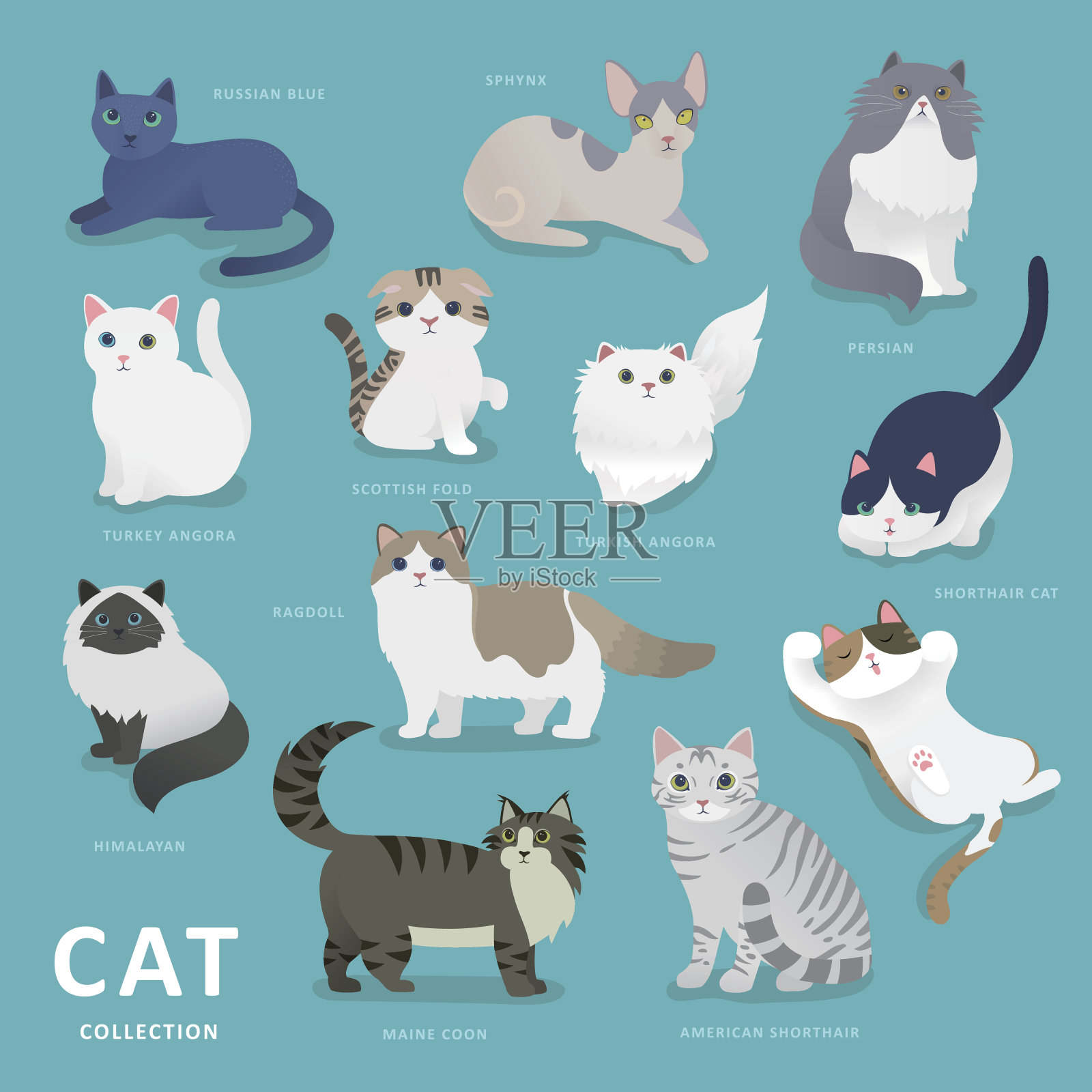 可爱猫品种收藏插画图片素材