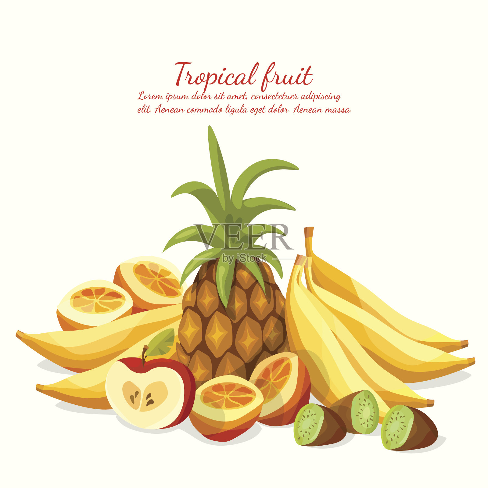 热带水果的卡通设计元素图片