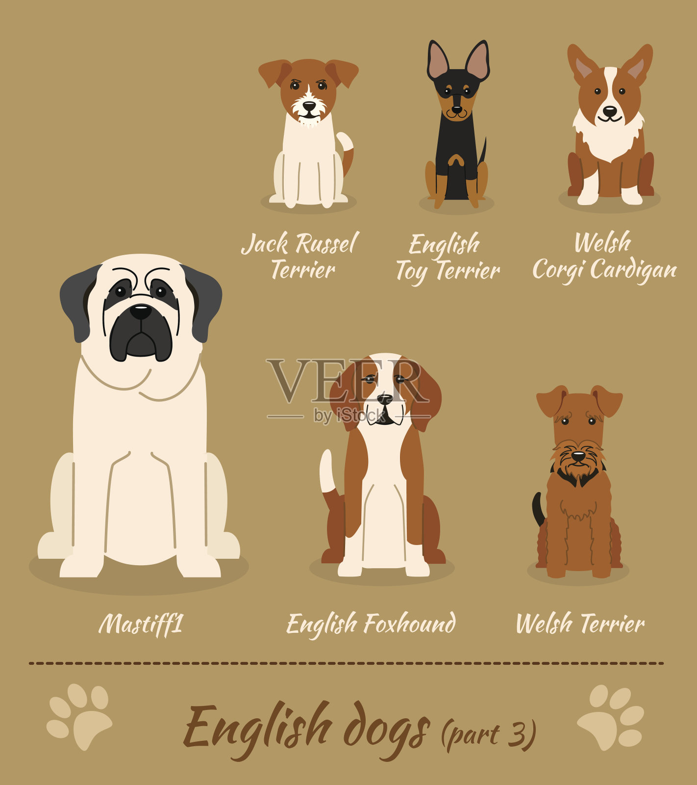 英语的狗插画图片素材