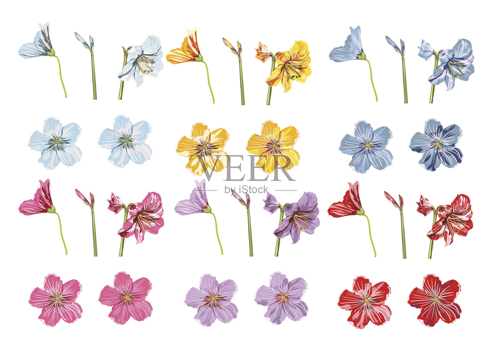 向量大收集花。紫色，蓝色，红色，粉色，黄色插画图片素材