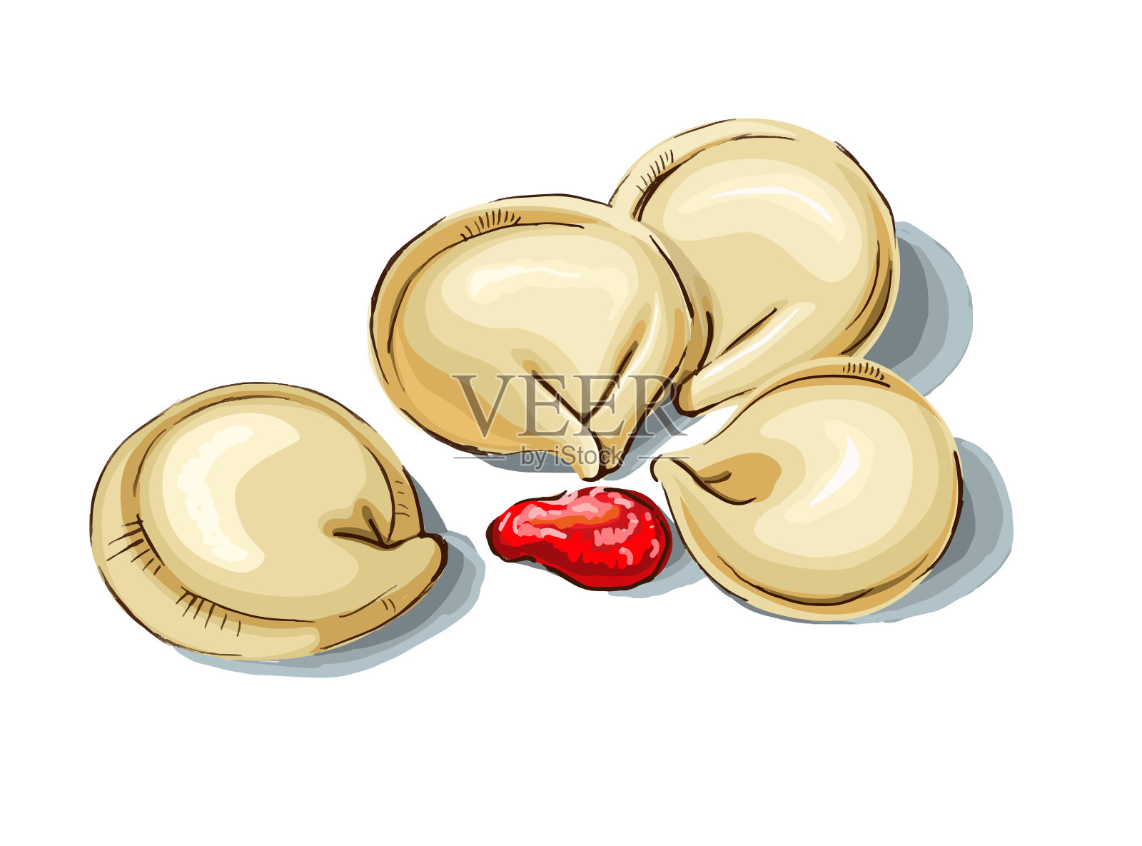 饺子和欧芹，俄罗斯饺子，意大利饺子插画图片素材