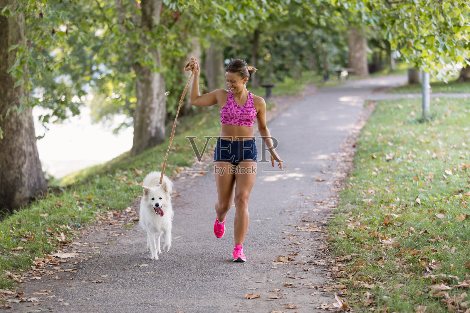 年轻迷人的运动女孩和狗在公园里跑步照片摄影图片