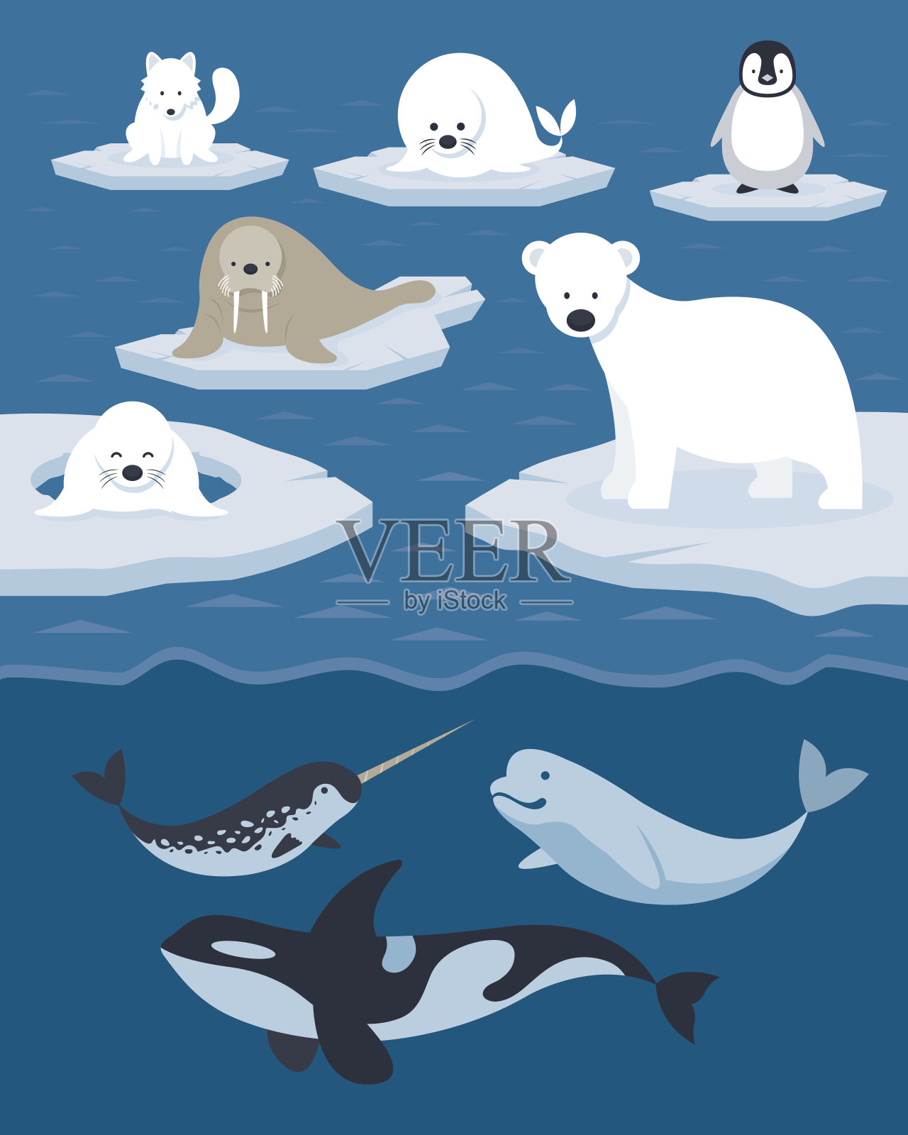 北极动物的性格和背景设计元素图片