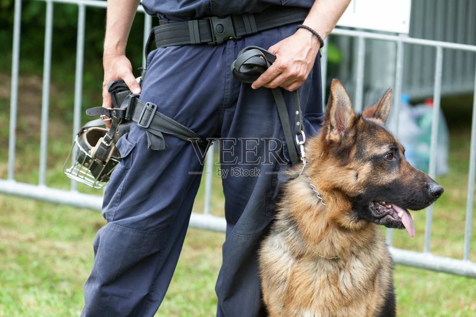 警察的狗。一名警察和一只德国牧羊犬当值。照片摄影图片