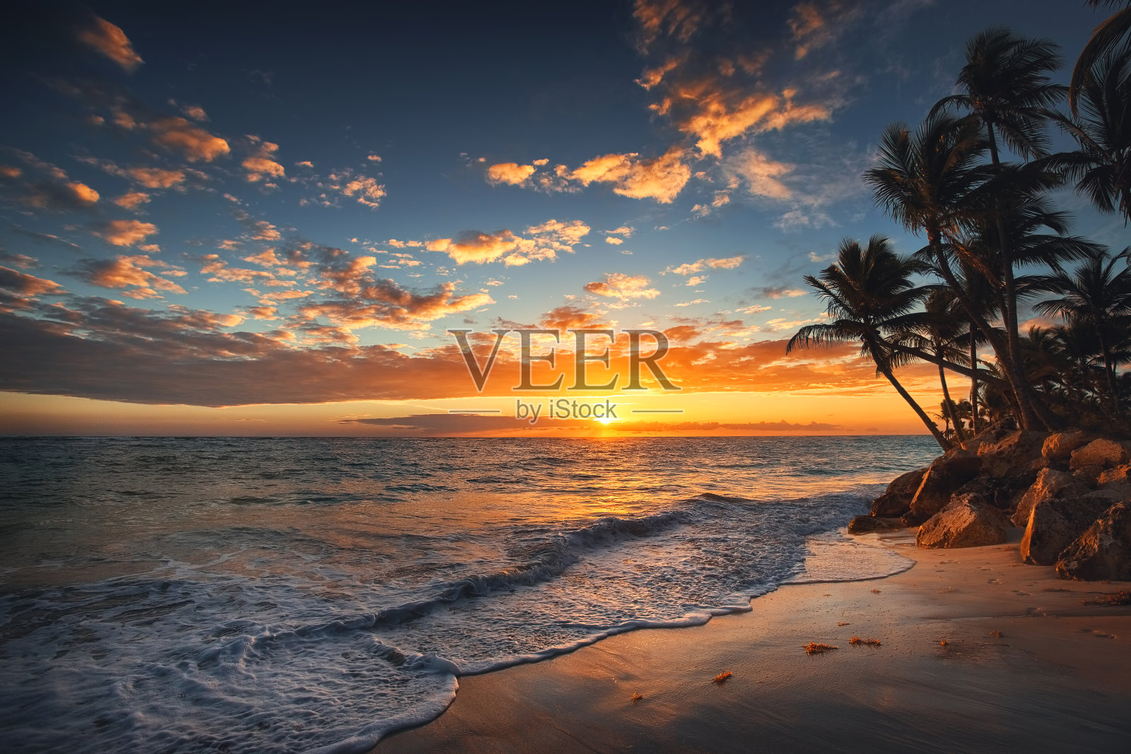 热带岛屿上的日出。沙滩上的棕榈树。照片摄影图片