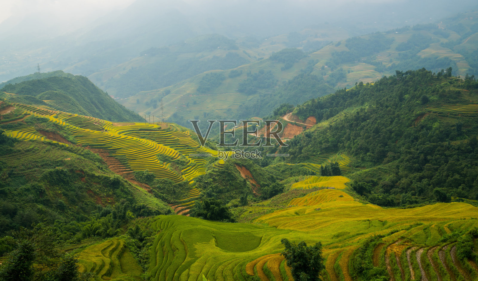 越南萨帕的梯田照片摄影图片