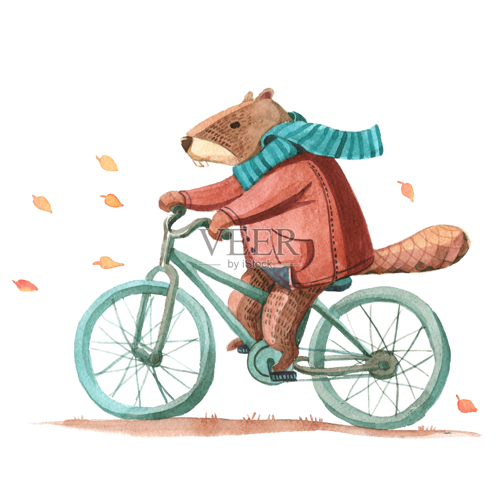 海狸穿着大衣围着围巾骑着自行车插画图片素材