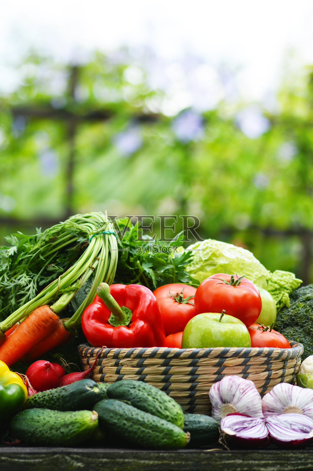 新鲜的有机蔬菜在柳条篮子在花园里照片摄影图片
