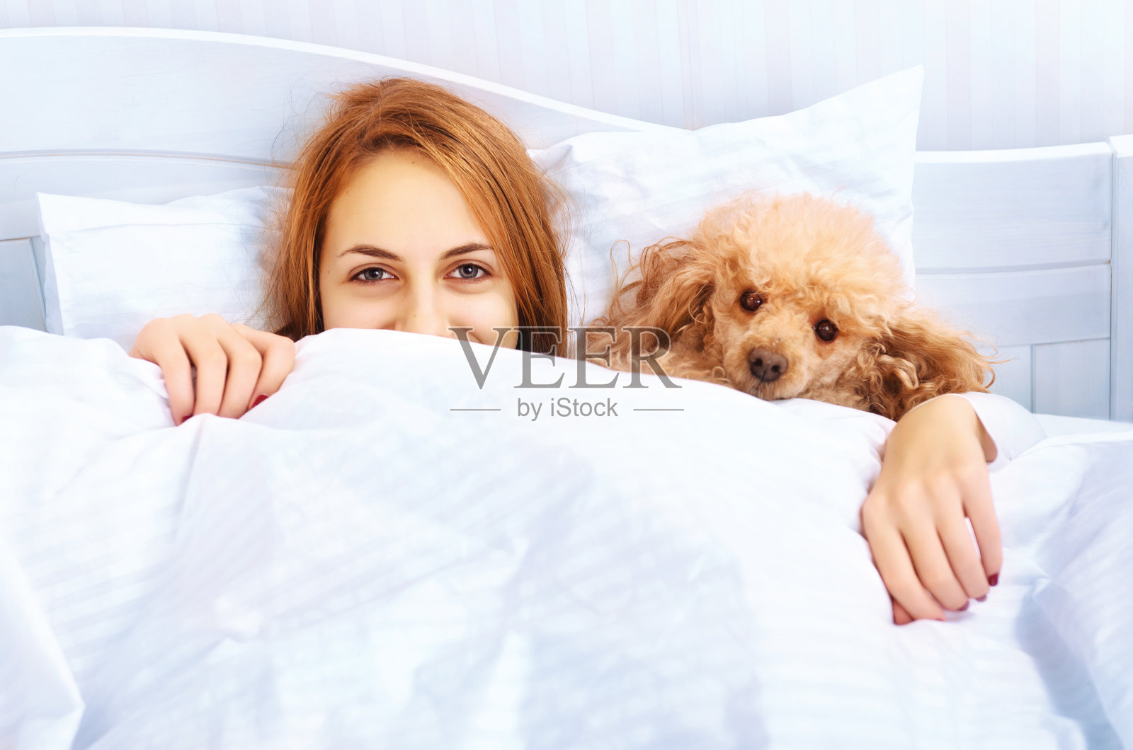 女孩和她的狗在床上照片摄影图片