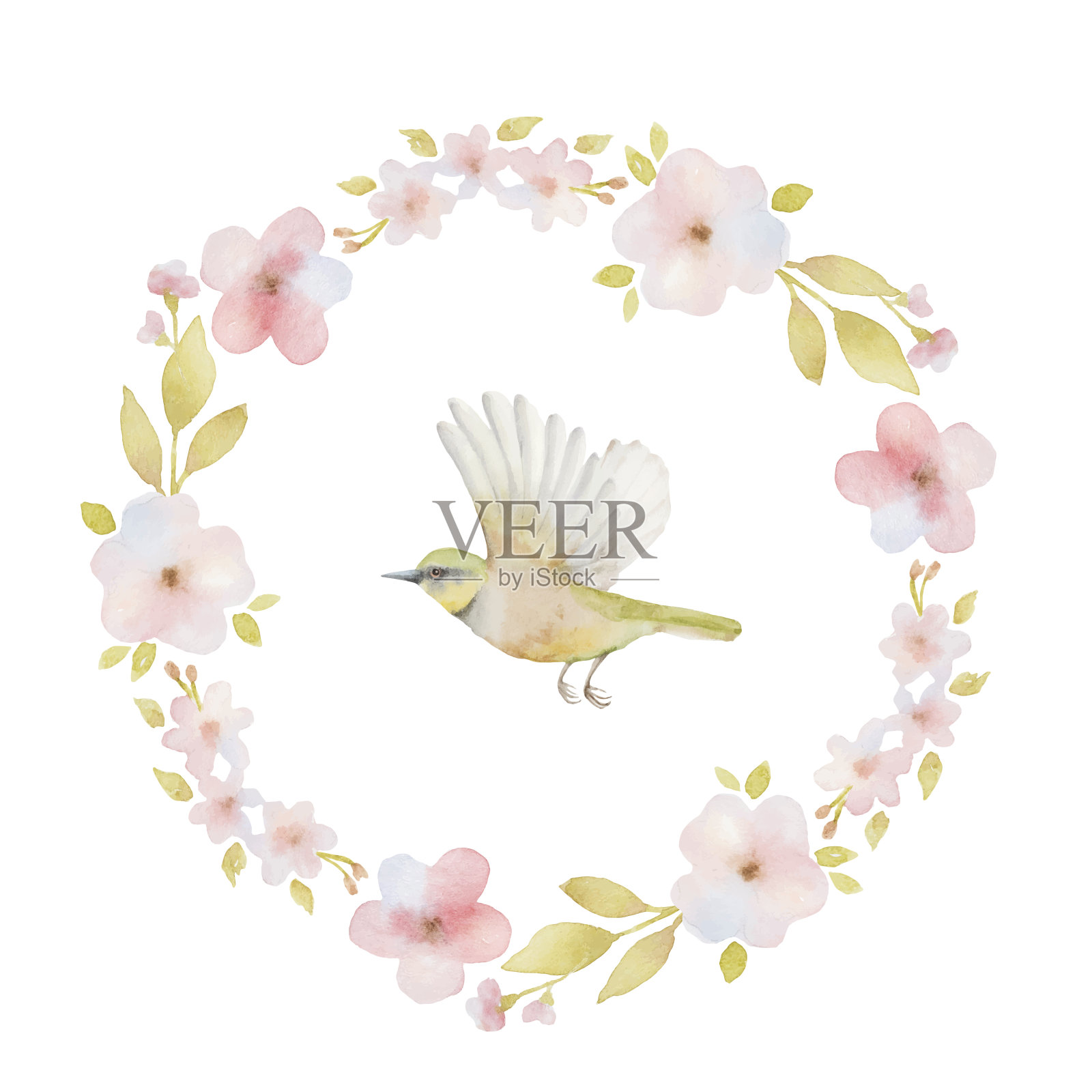 水彩圆形框架的春天的花和一只鸟。插画图片素材