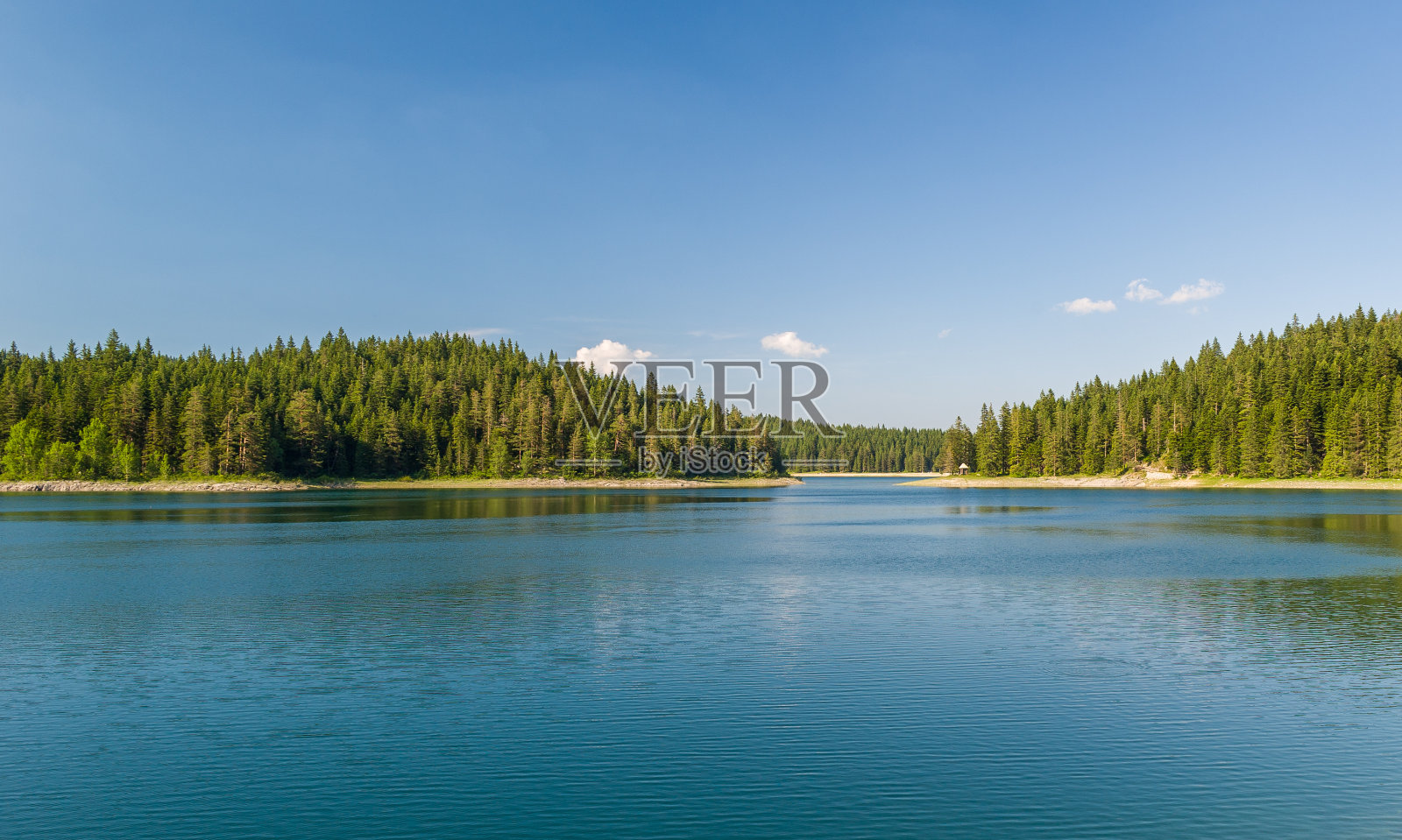 美丽的湖泊，岛上覆盖着茂密的针叶林照片摄影图片