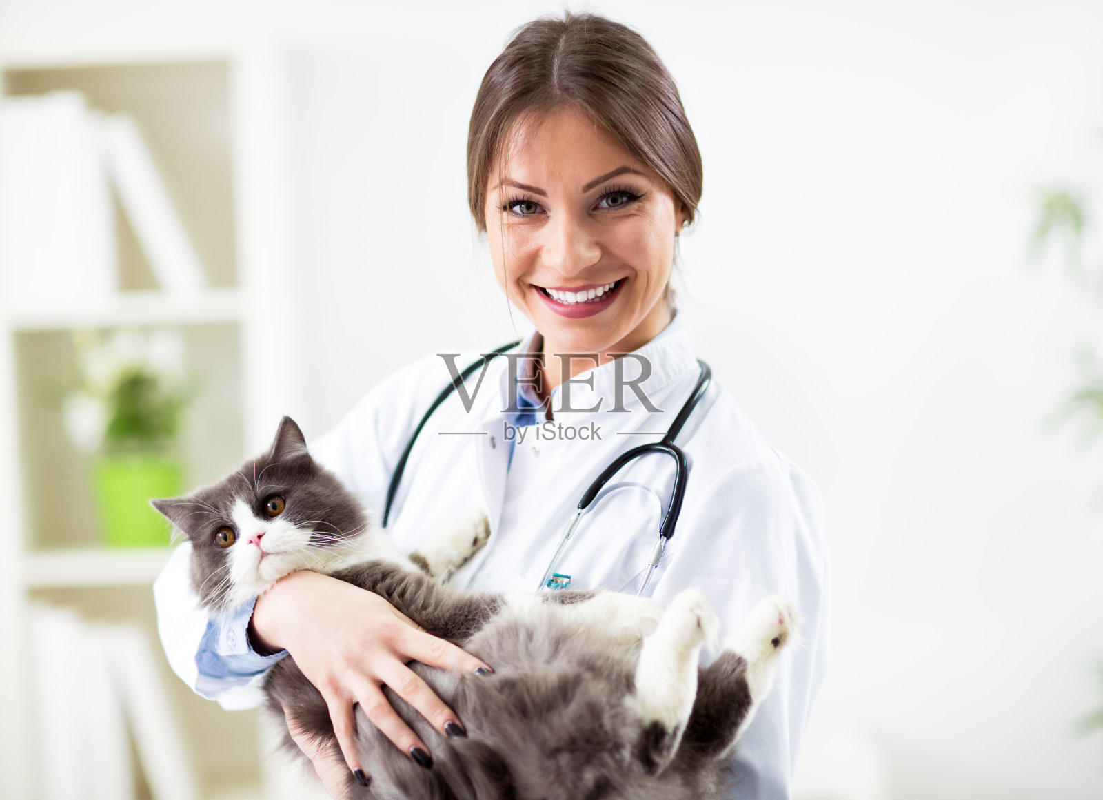 微笑兽医与波斯猫的肖像照片摄影图片
