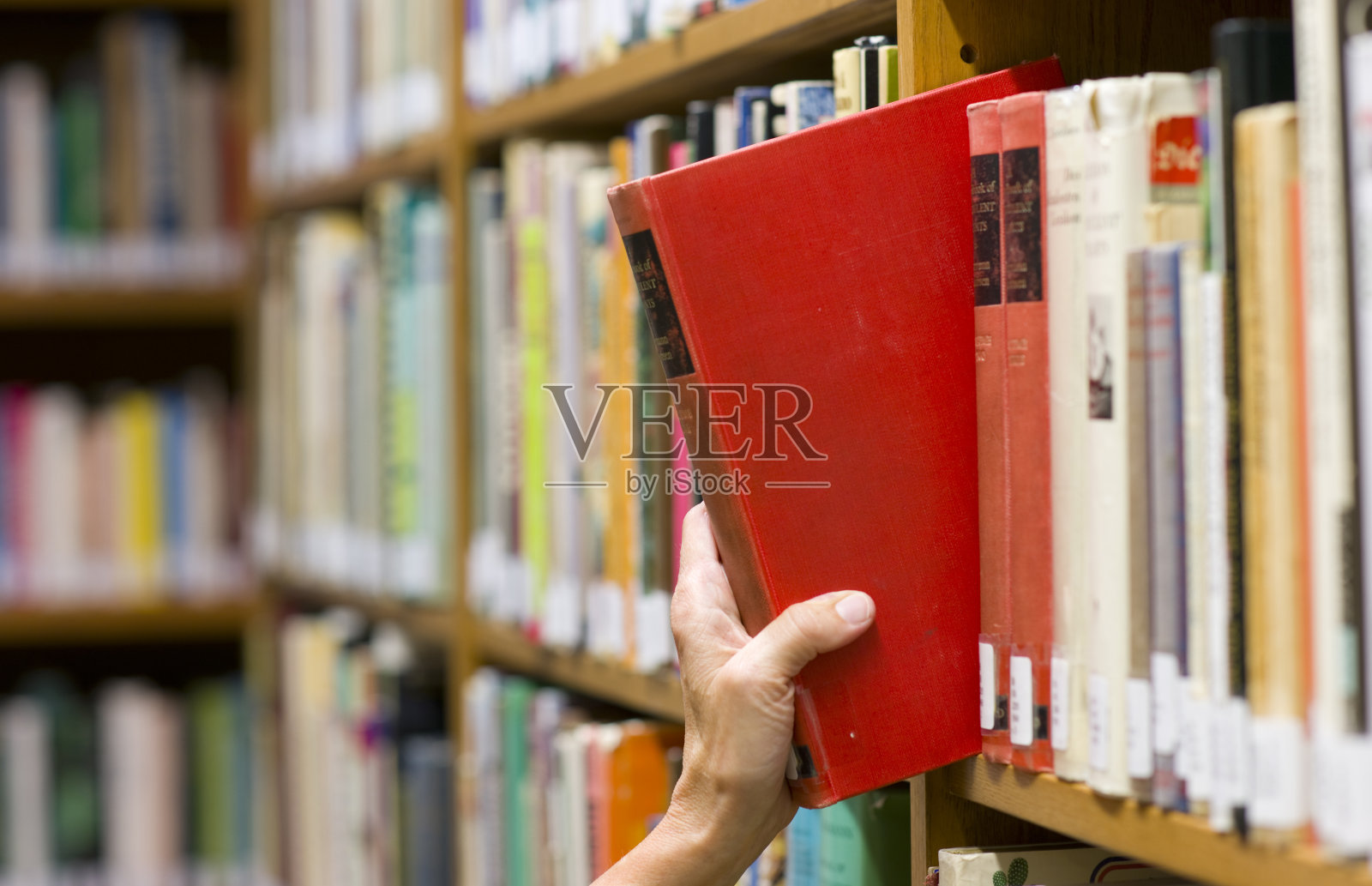 摘书的女人的手从图书馆书架上拉出红色的教科书照片摄影图片