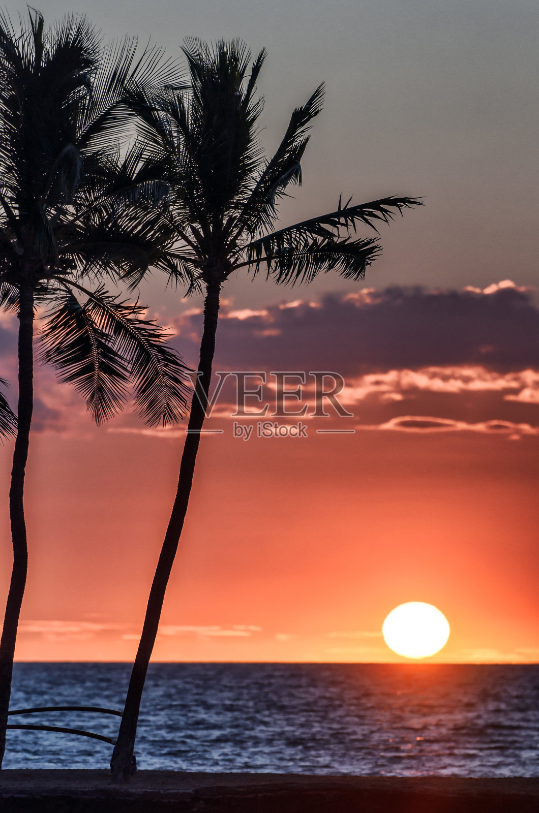 热带岛屿日落的棕榈树剪影照片摄影图片
