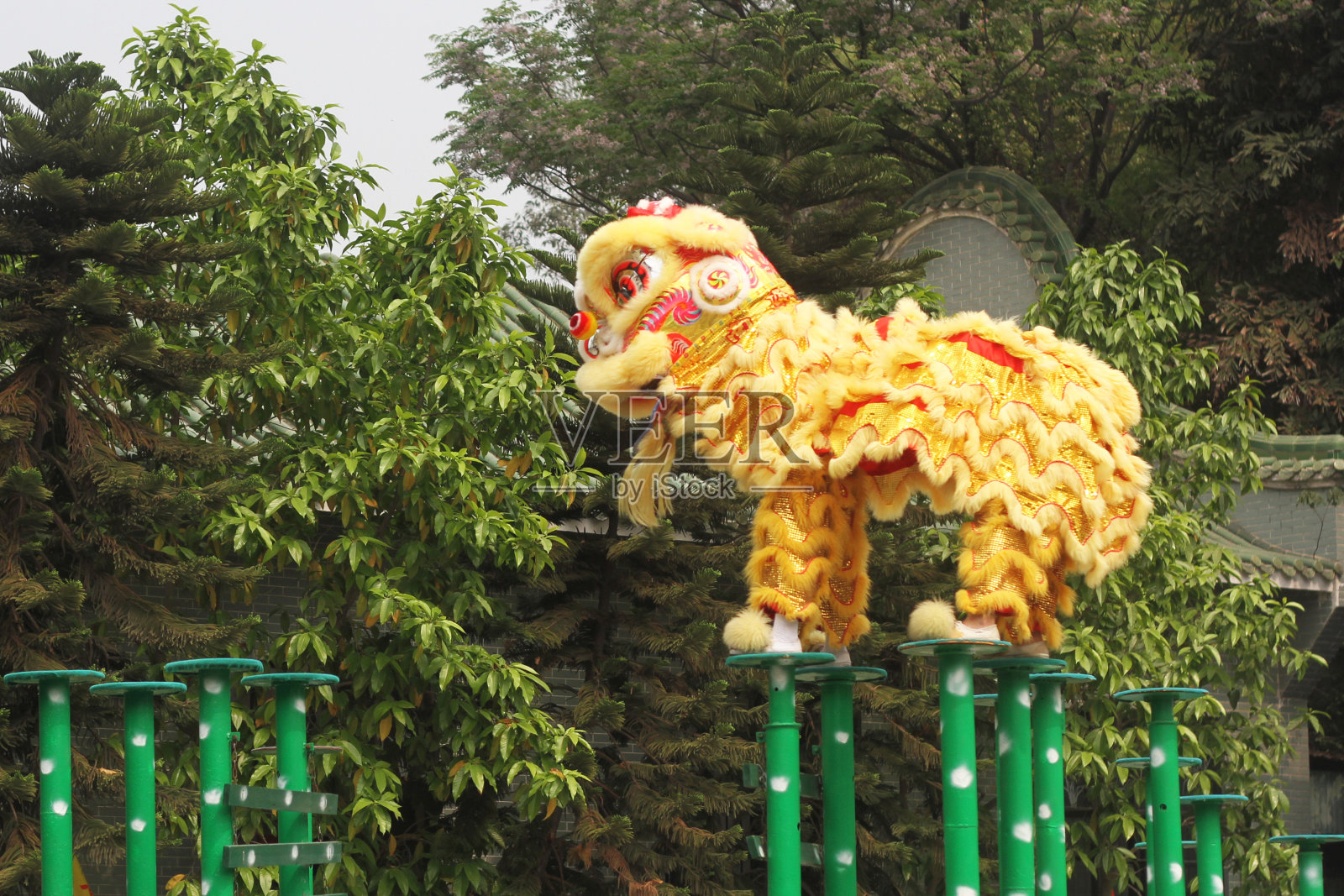 黄色中国传统舞狮表演庆祝节日唐人街照片摄影图片