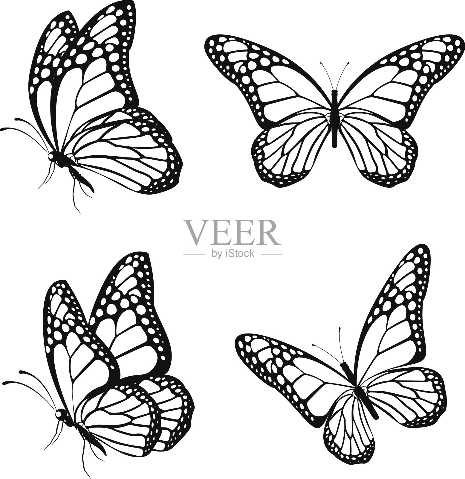一套剪影蝴蝶孤立的春天设计元素图片