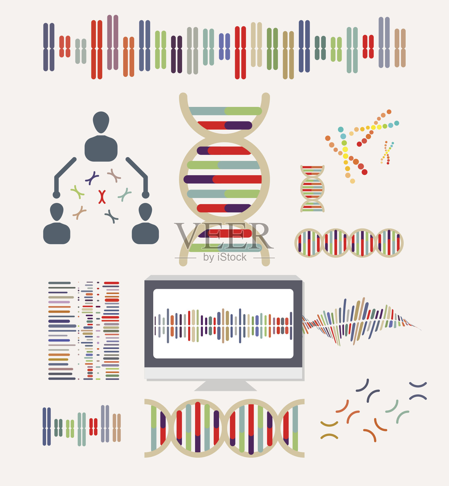 DNA和染色体插画图片素材
