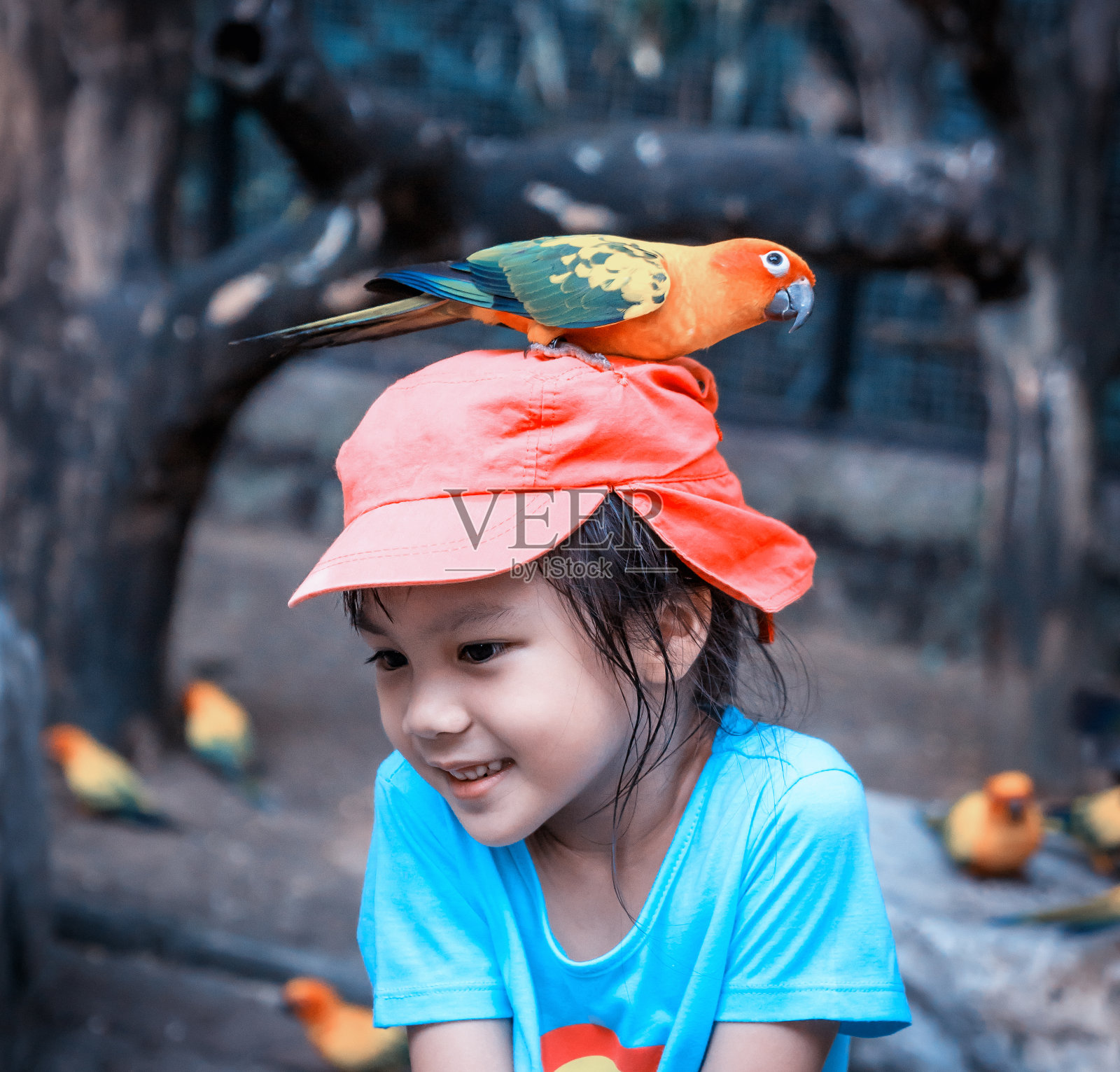亚洲女孩，头上戴着一只彩色鹦鹉照片摄影图片