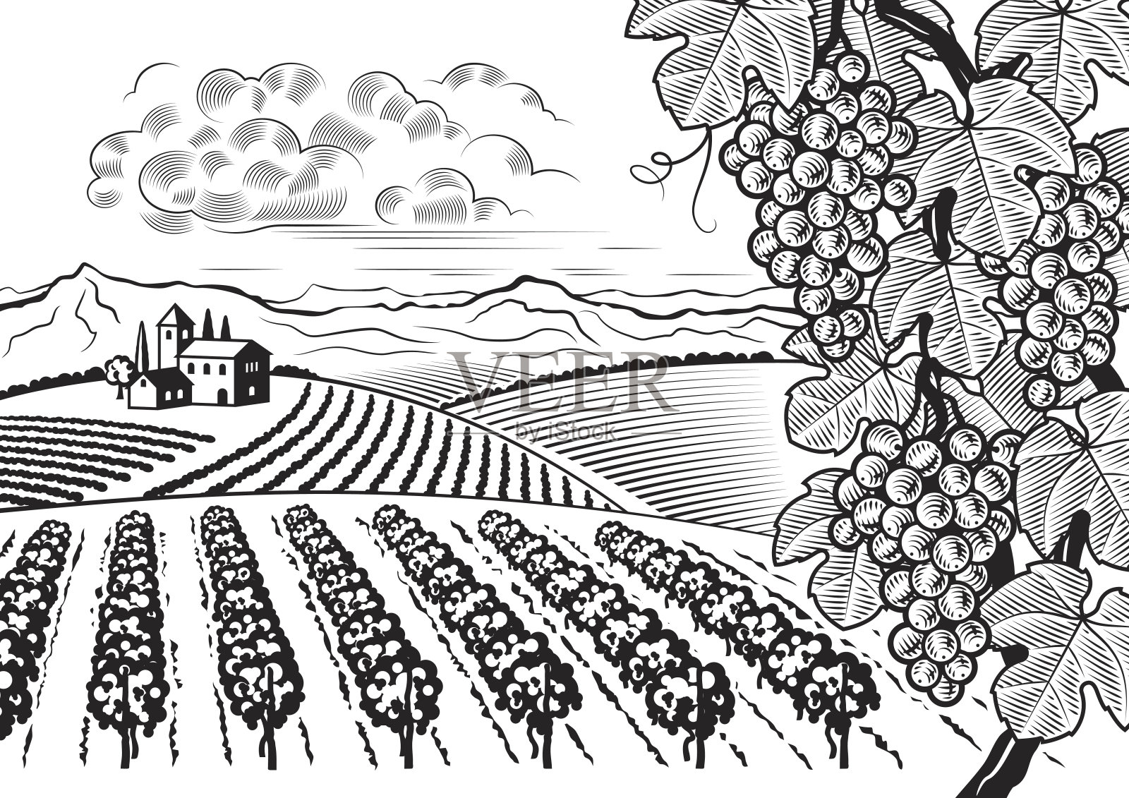 黑色和白色的葡萄园山谷景观插画图片素材