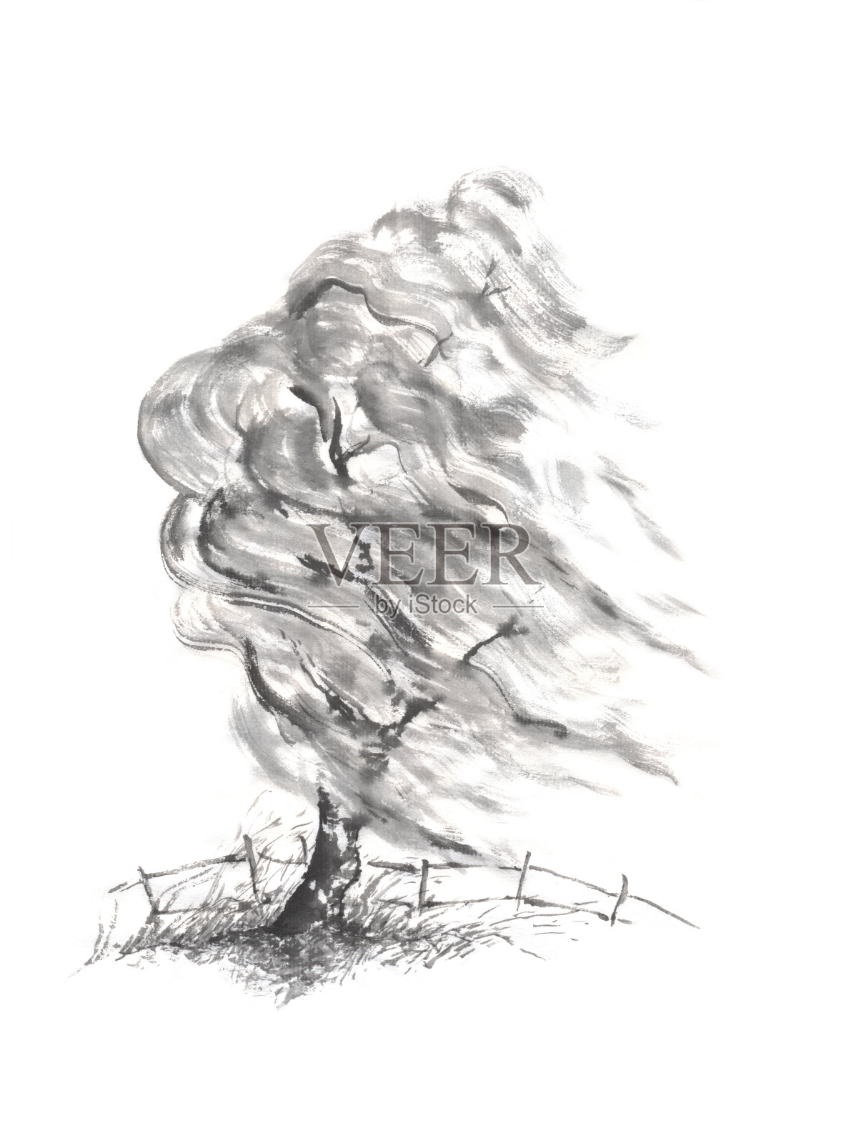 柳树在风中日本风格的sumi-e水墨画。插画图片素材