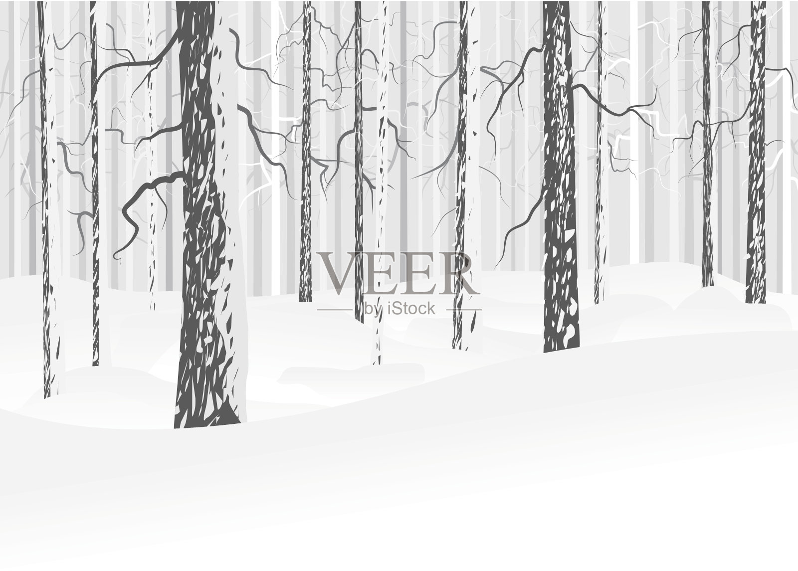 冬天落叶林背景图片素材