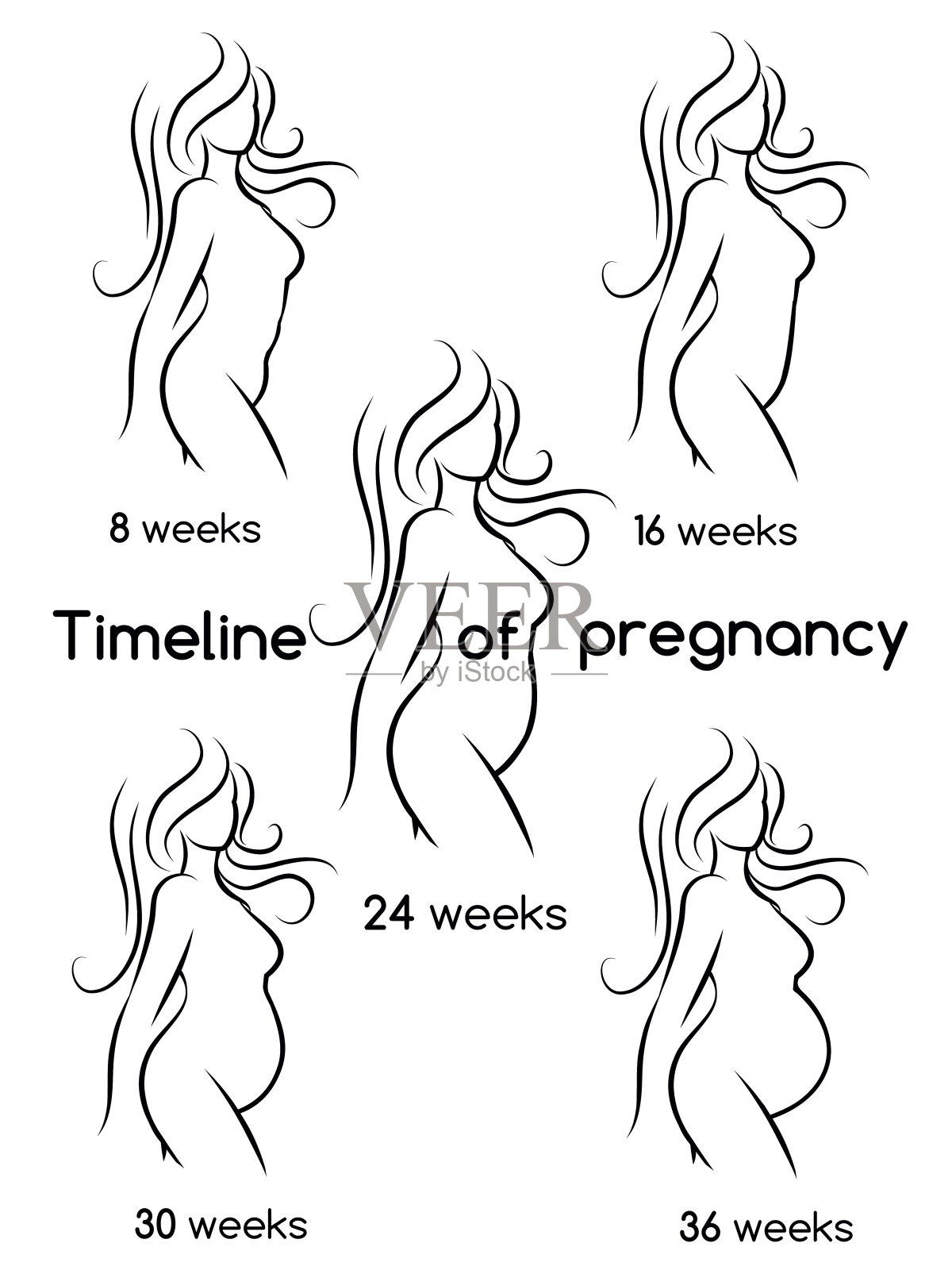 孕妇剪影时间线插画图片素材