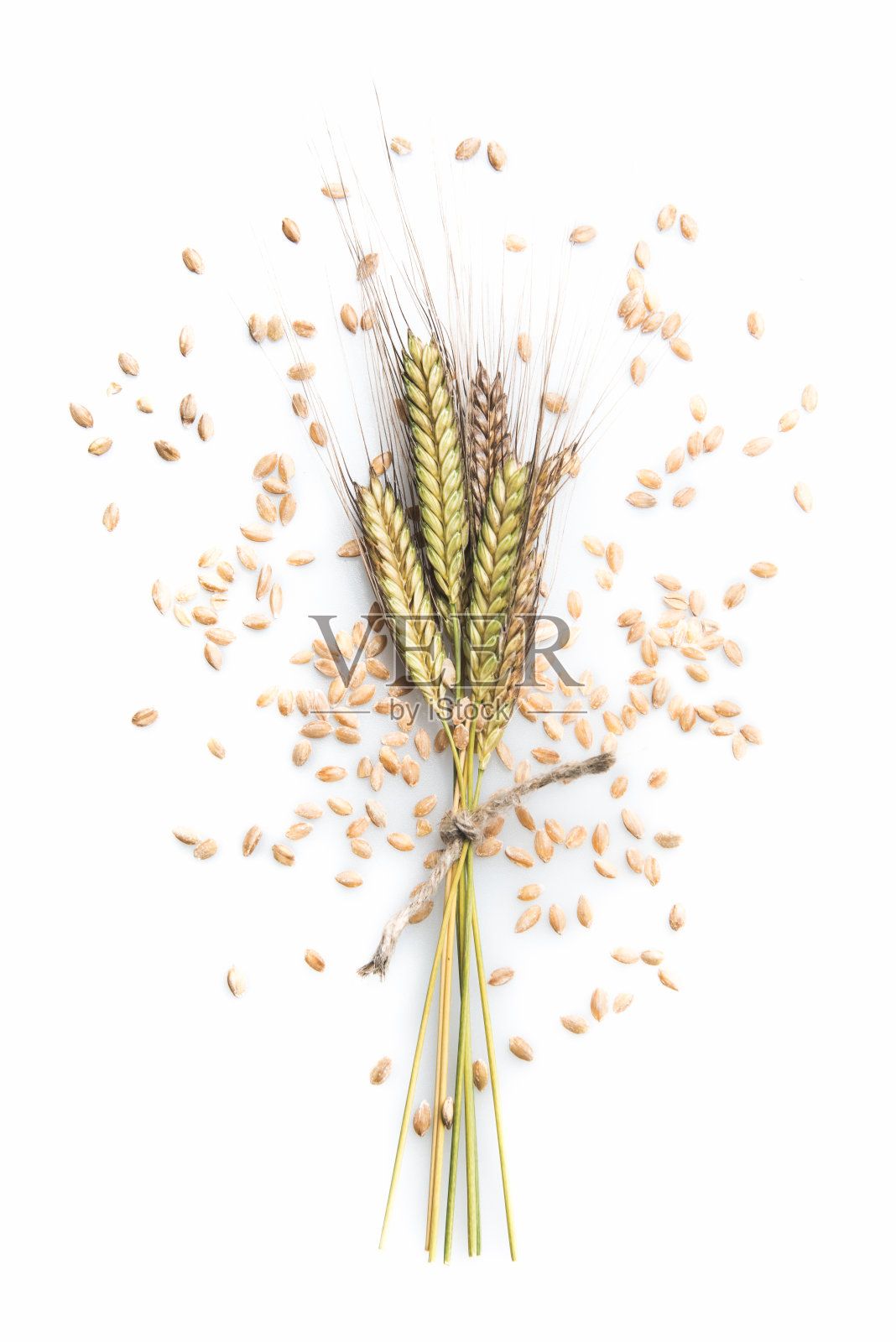 Enkir小麦属植物monococcum照片摄影图片