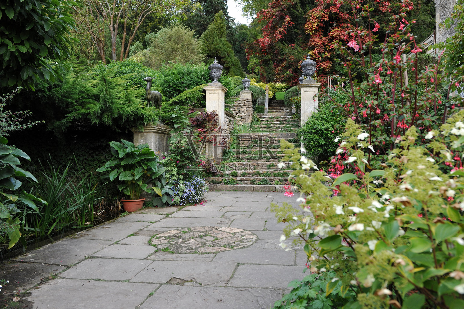 正式的花园庭院照片摄影图片