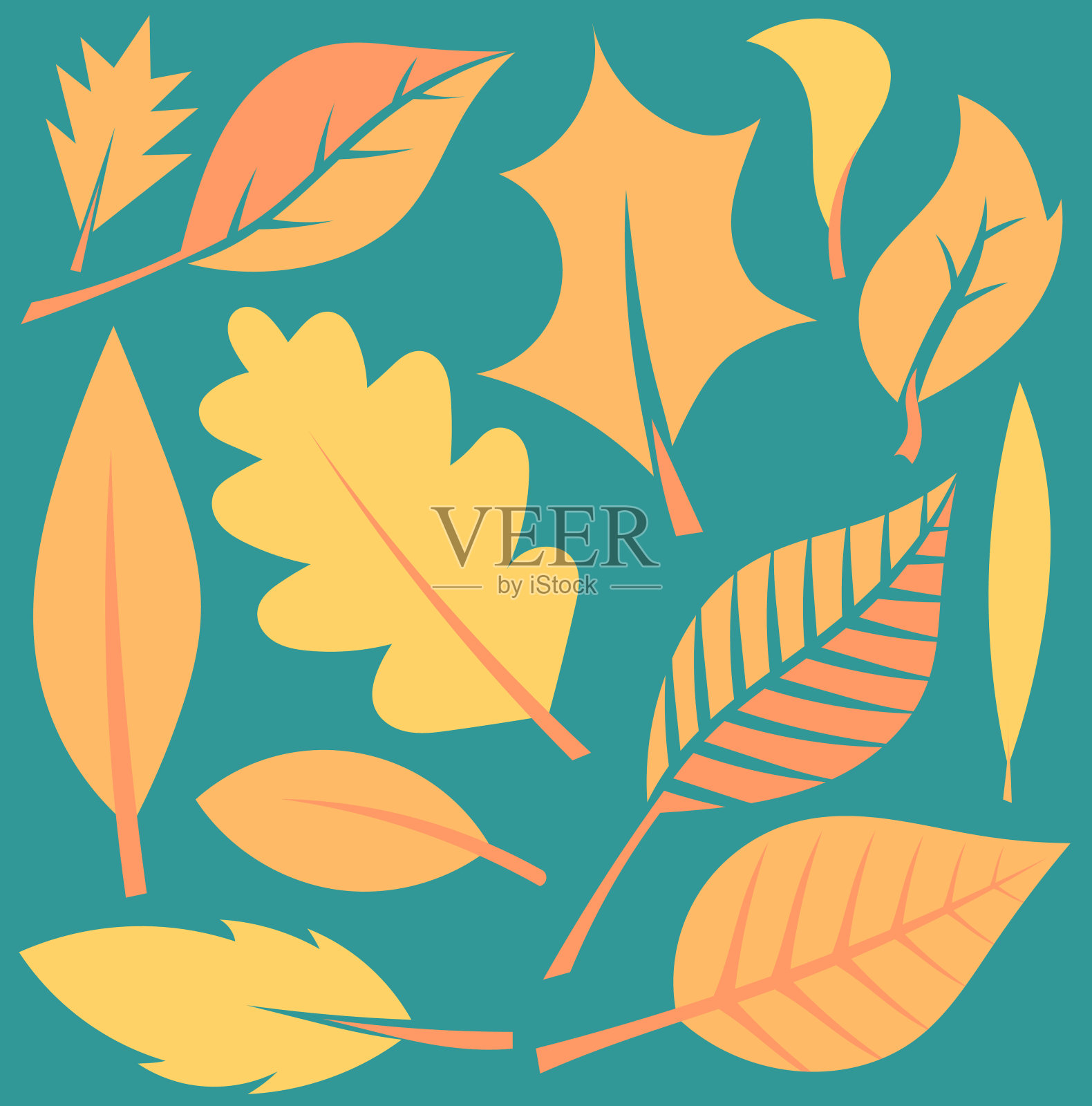 秋叶插图插画图片素材