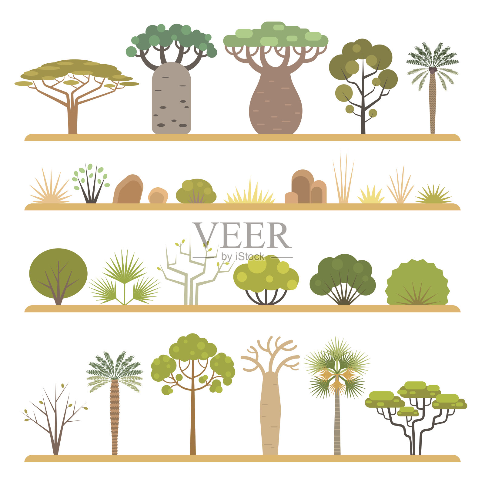 非洲的植物插画图片素材