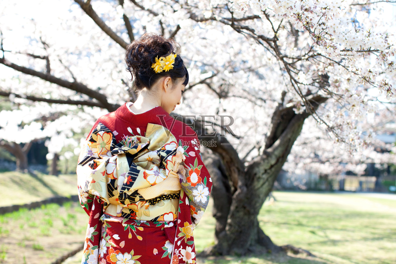 穿着樱花图案和服的日本妇女照片摄影图片