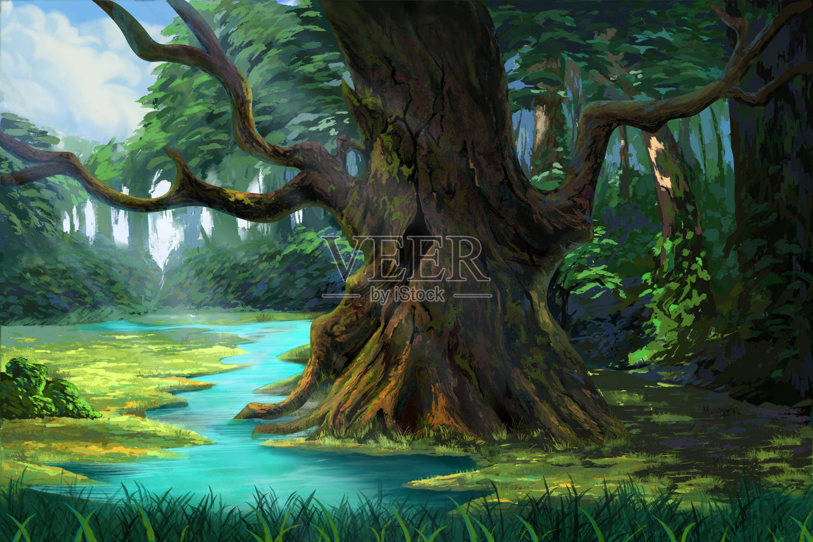 河边森林中的一棵古树插画图片素材