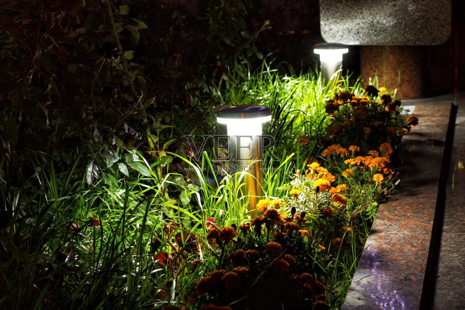 用LED照明照亮花园照片摄影图片