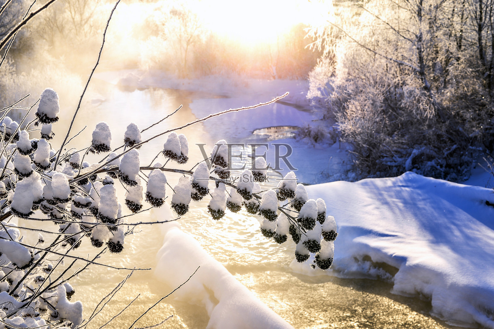 冬季阳光明媚的景观与河流和森林照片摄影图片