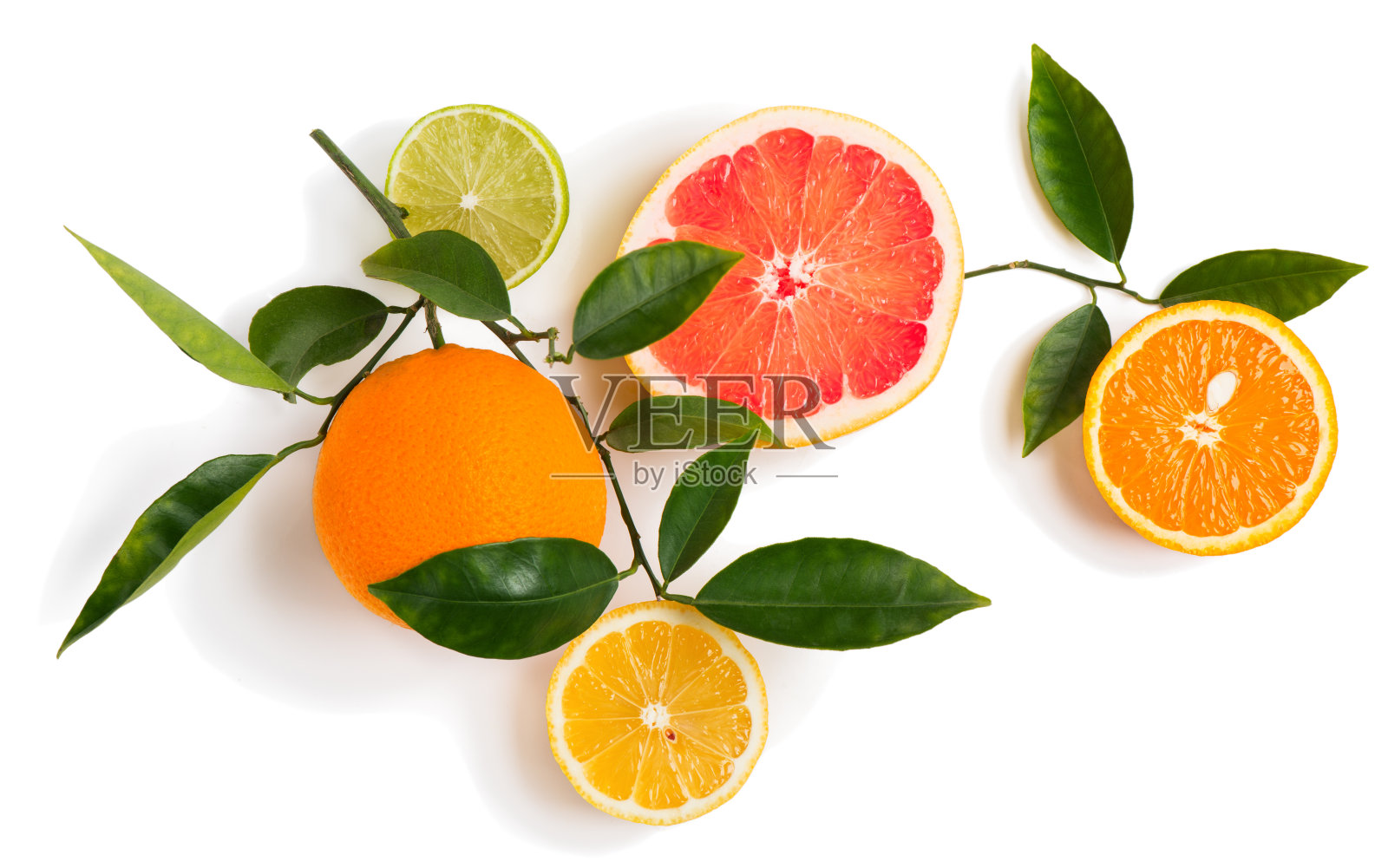 不同的柑橘类水果在小树枝上。照片摄影图片
