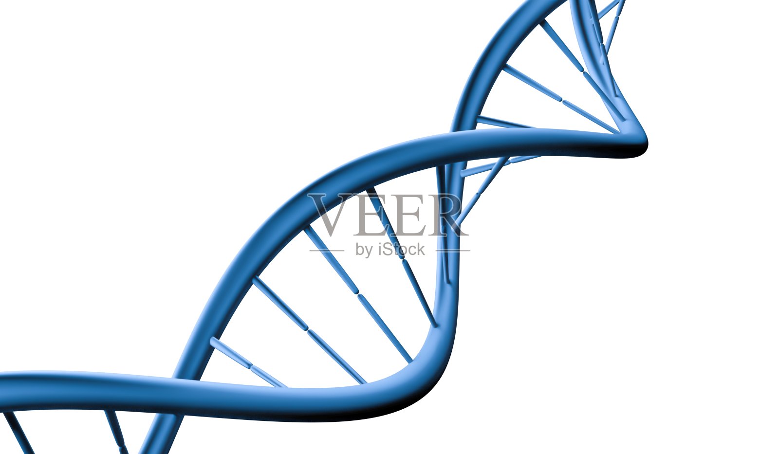 白色背景上分离的DNA螺旋分子。3 d渲染插图。插画图片素材