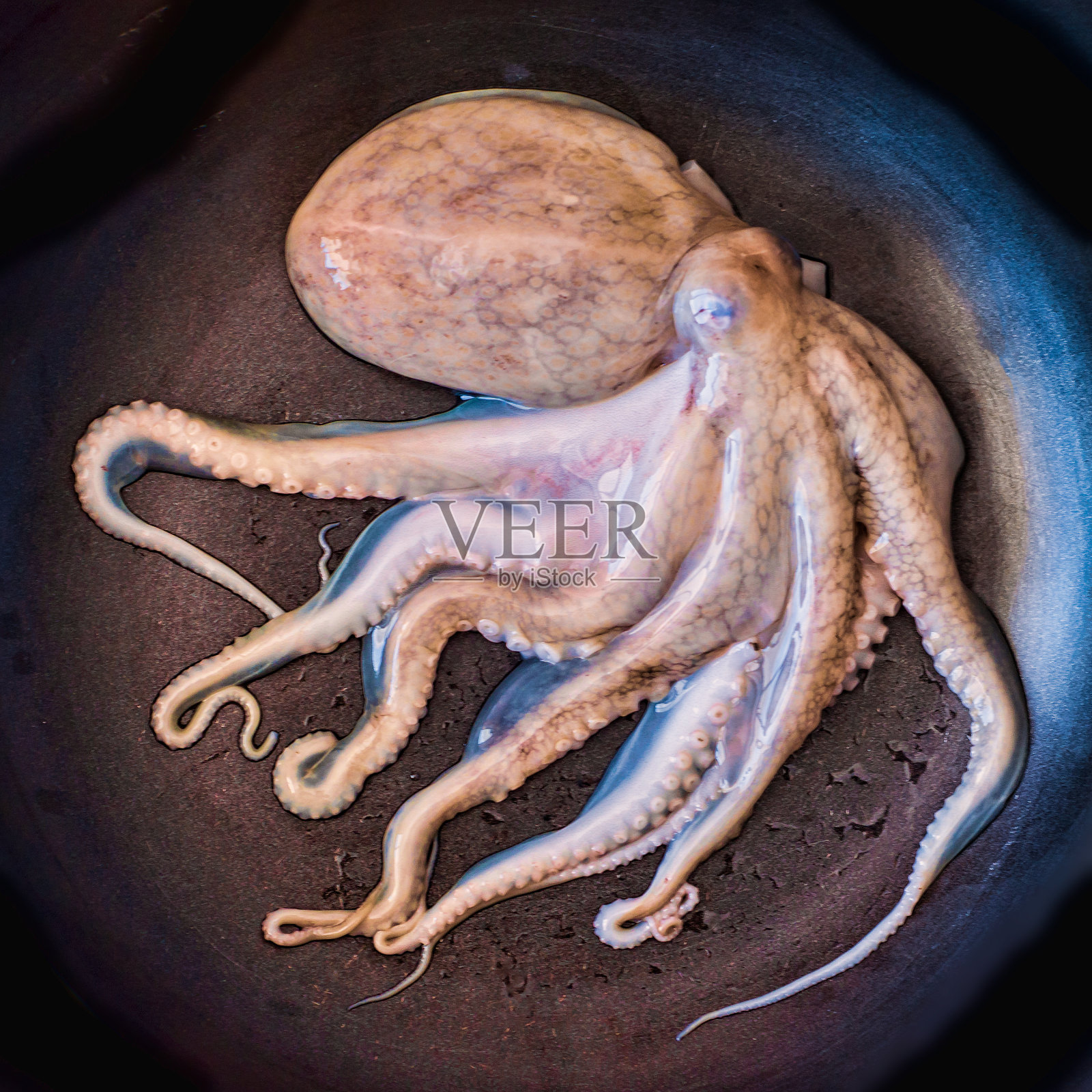 平底锅上的小章鱼照片摄影图片