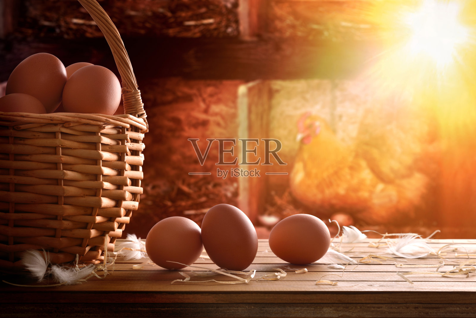 新鲜采摘的鸡蛋在篮子和鸡在鸡舍背照片摄影图片