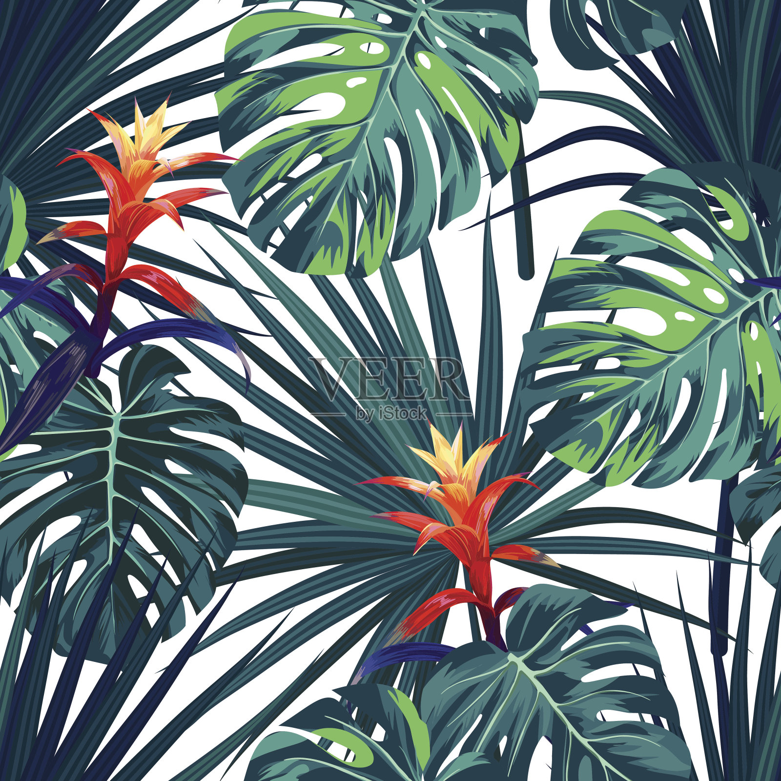 异国情调的热带背景与夏威夷植物和花卉。无缝矢量图案与绿色怪物和sabal棕榈叶，古兹马尼亚花插画图片素材