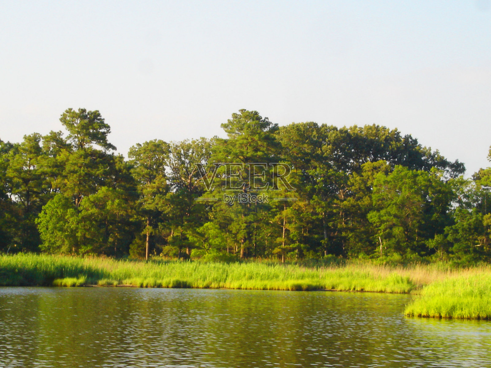 在美国马里兰州的切萨皮克湾描绘自然和风景。照片摄影图片