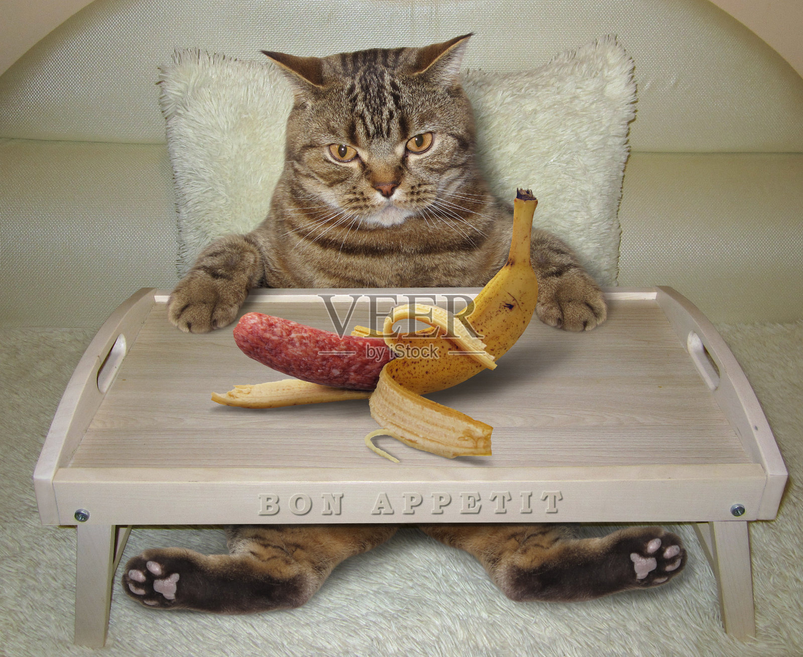 猫在床上吃香蕉照片摄影图片