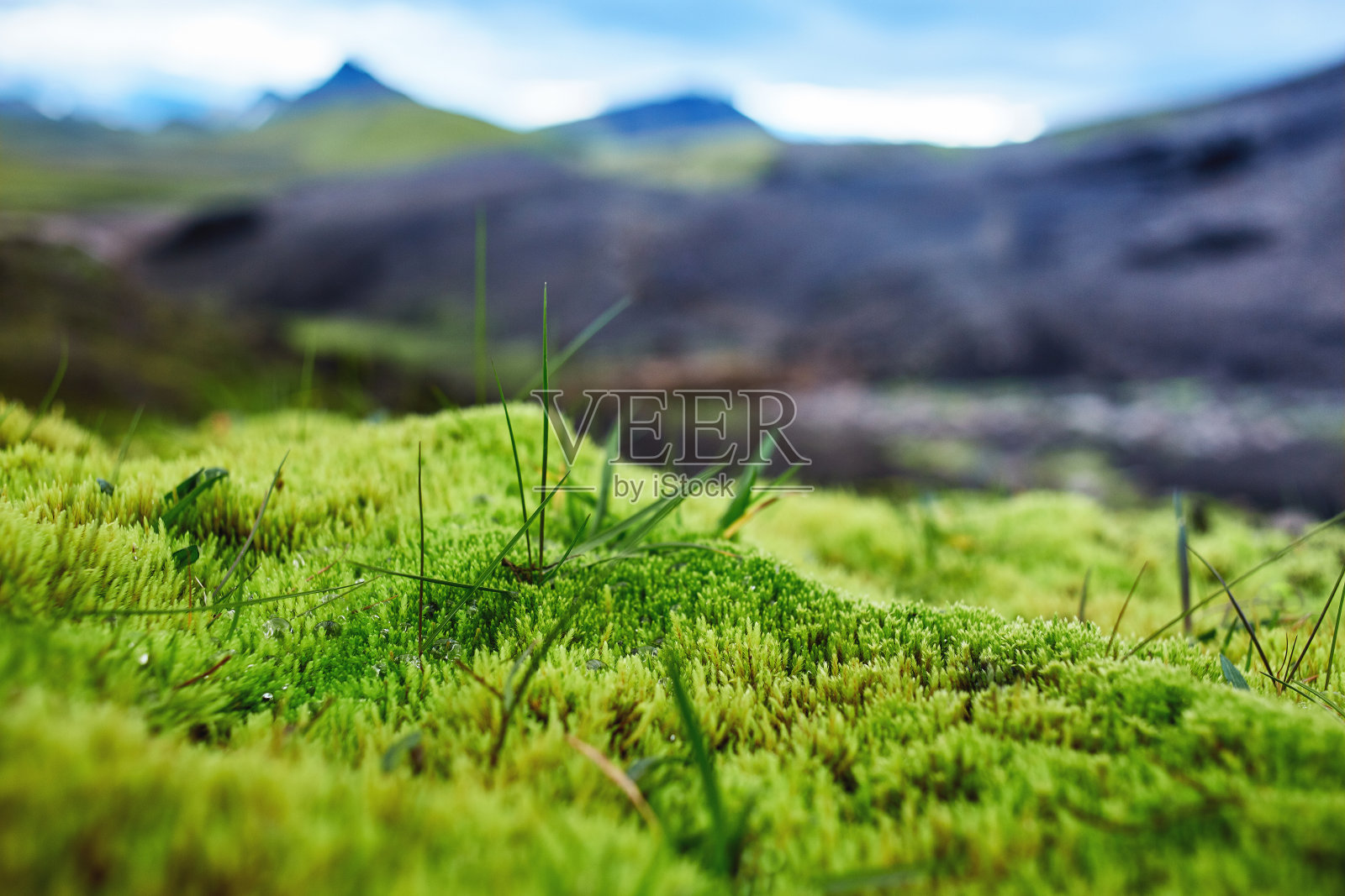 冰岛，山谷国家公园照片摄影图片
