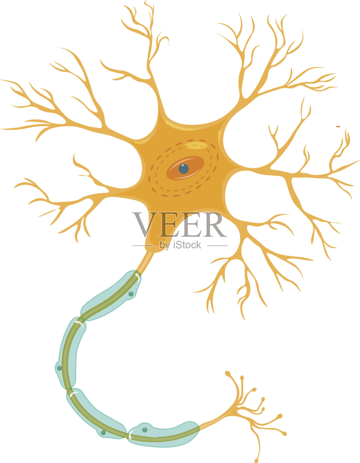 神经元载体插图孤立在白色背景上。插画图片素材