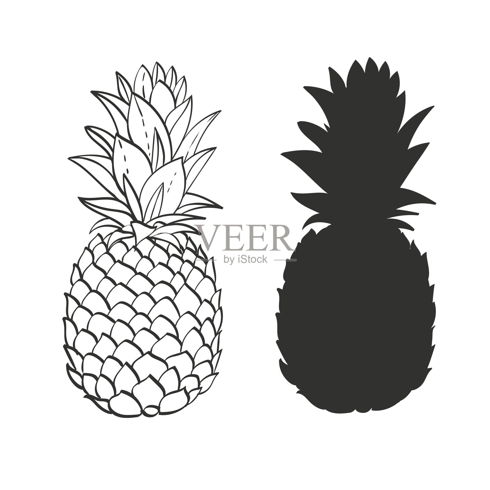 黑白菠萝插画图片素材