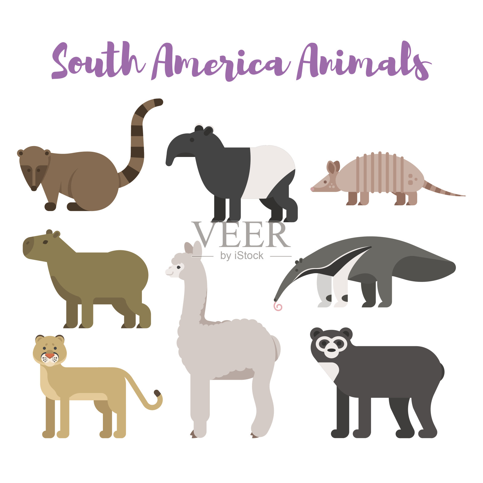 矢量平面风格设置动物南美洲。设计元素图片