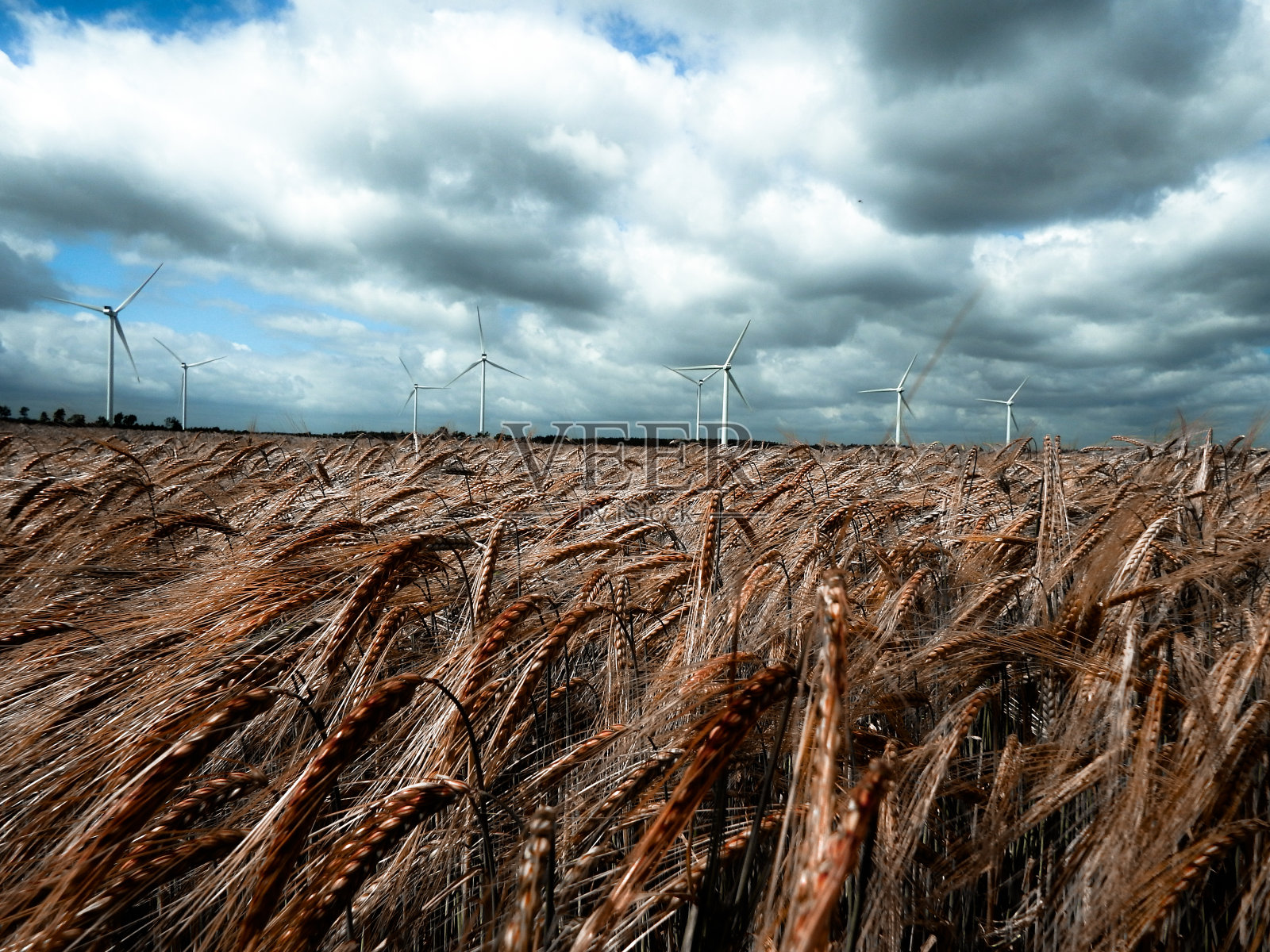 农田与风力涡轮机照片摄影图片