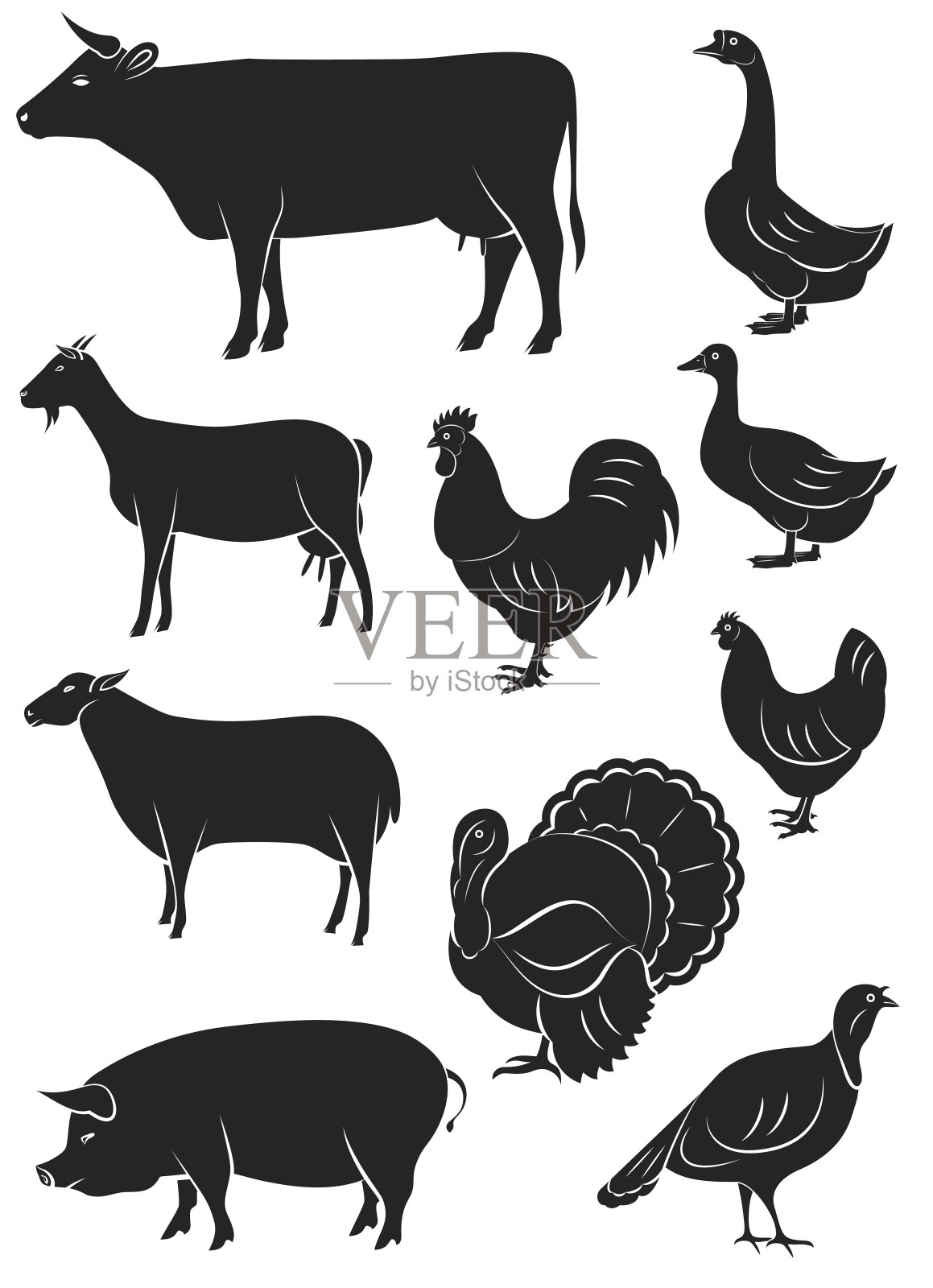 设置农场动物和鸟类矢量图标插画图片素材