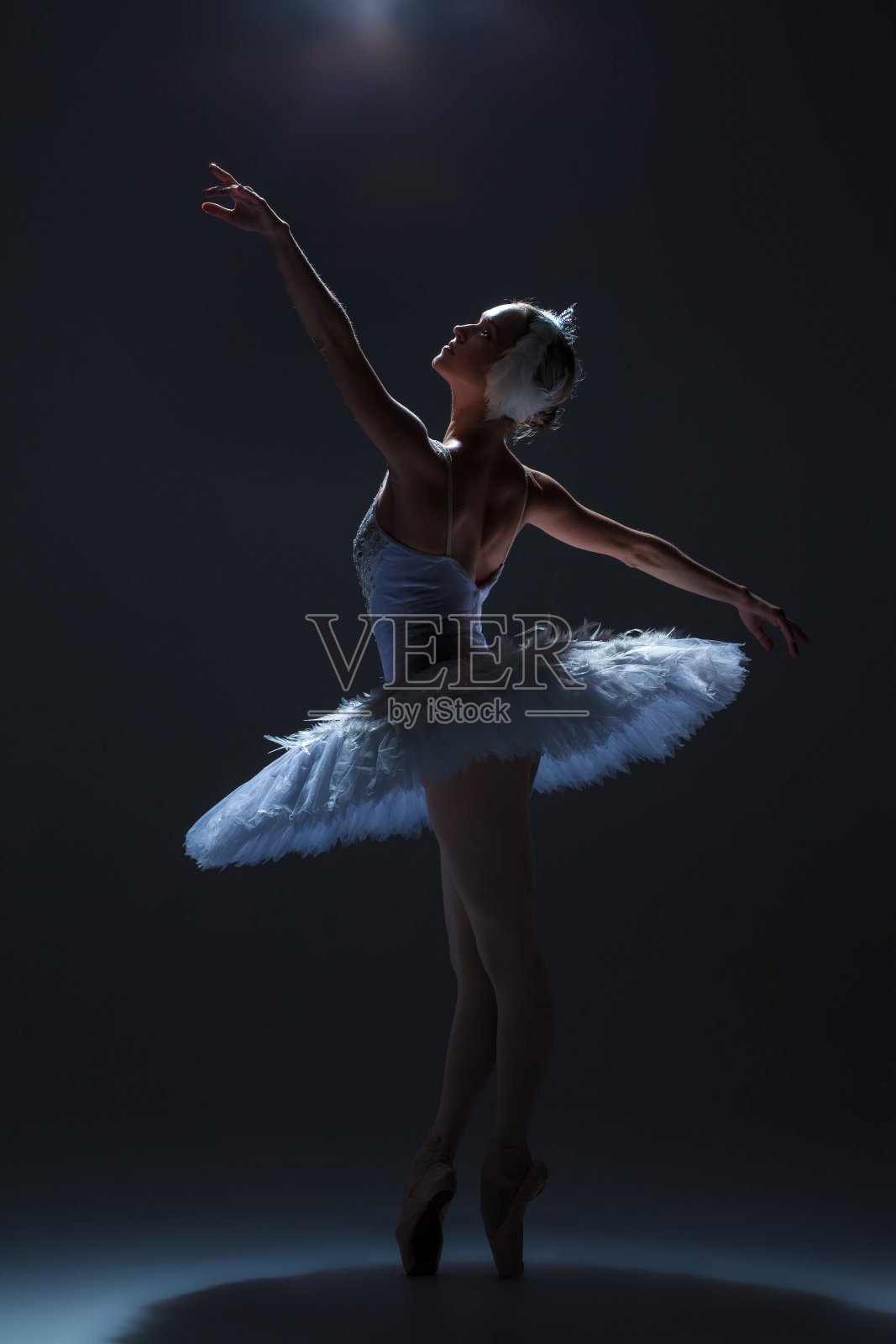 芭蕾舞女演员的肖像在芭蕾舞tatu在黑暗的背景照片摄影图片